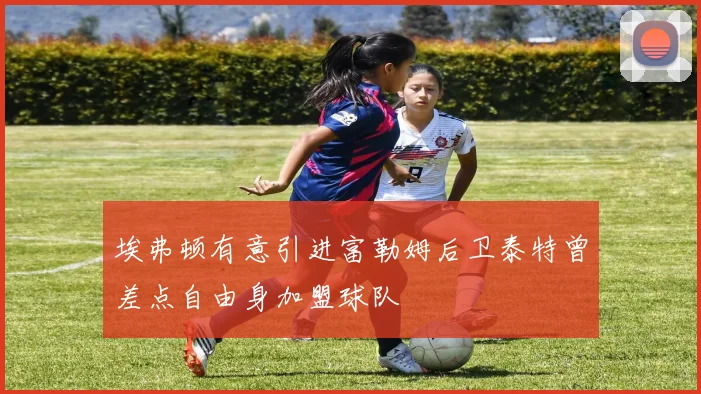 埃弗顿有意引进富勒姆后卫泰特曾差点自由身加盟球队
